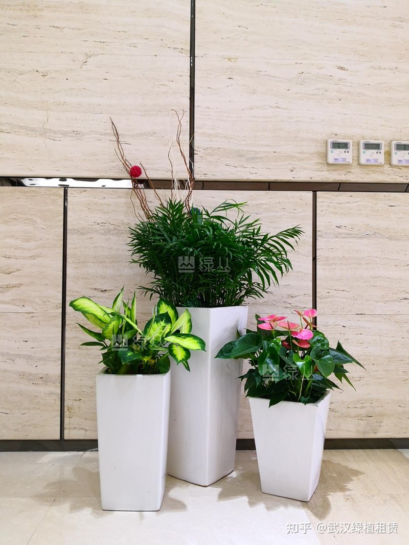 深度剖析:打造梦幻小院的五大关键点